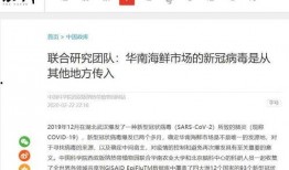 专爆料新闻的专家,深度解析新闻背后的真相